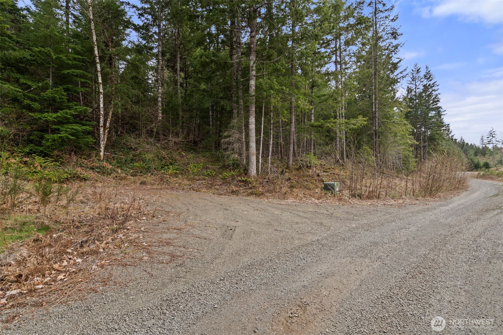 134 Grizzly Road Property Photo 6