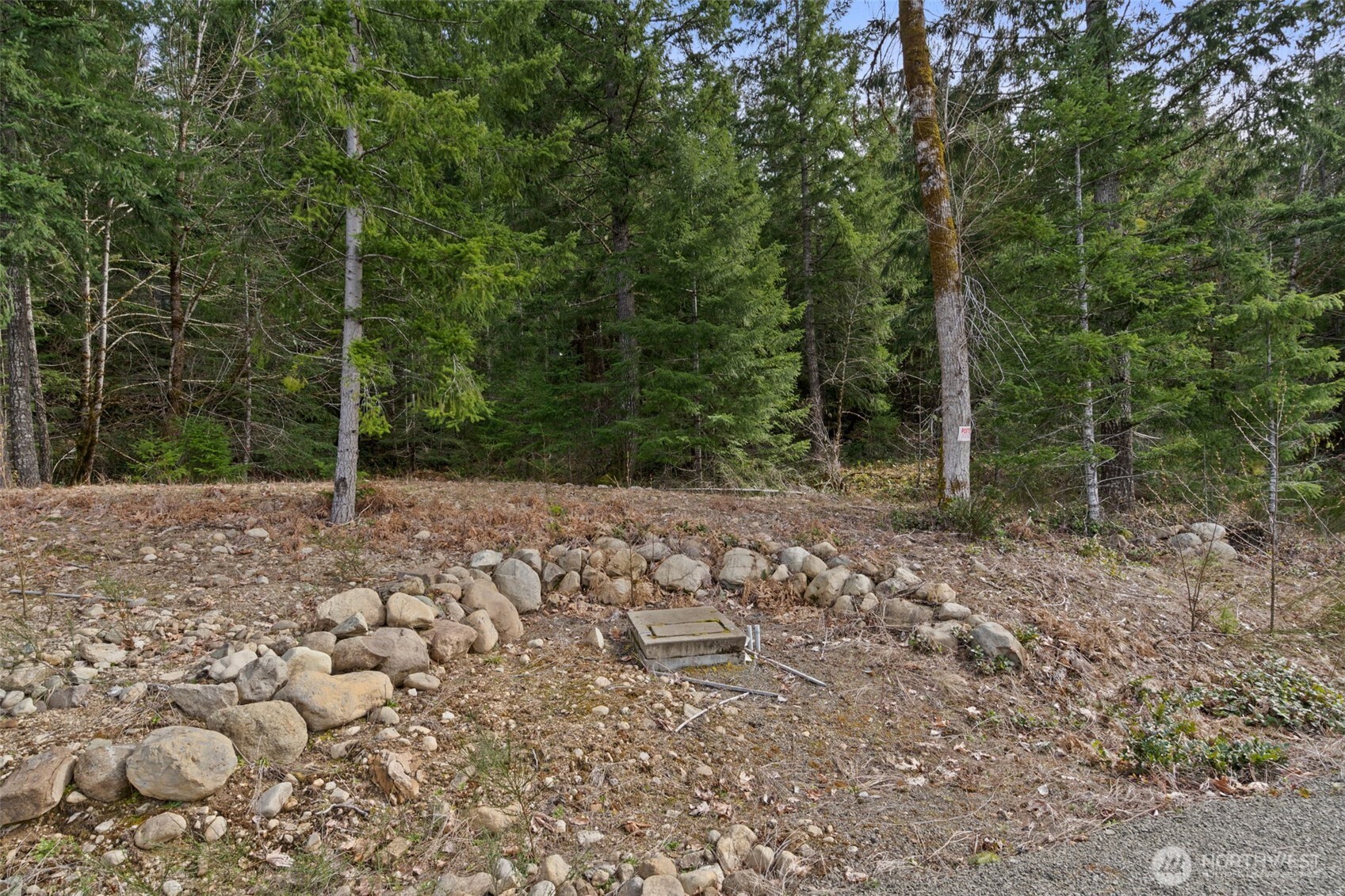 134 Grizzly Road Property Photo 8