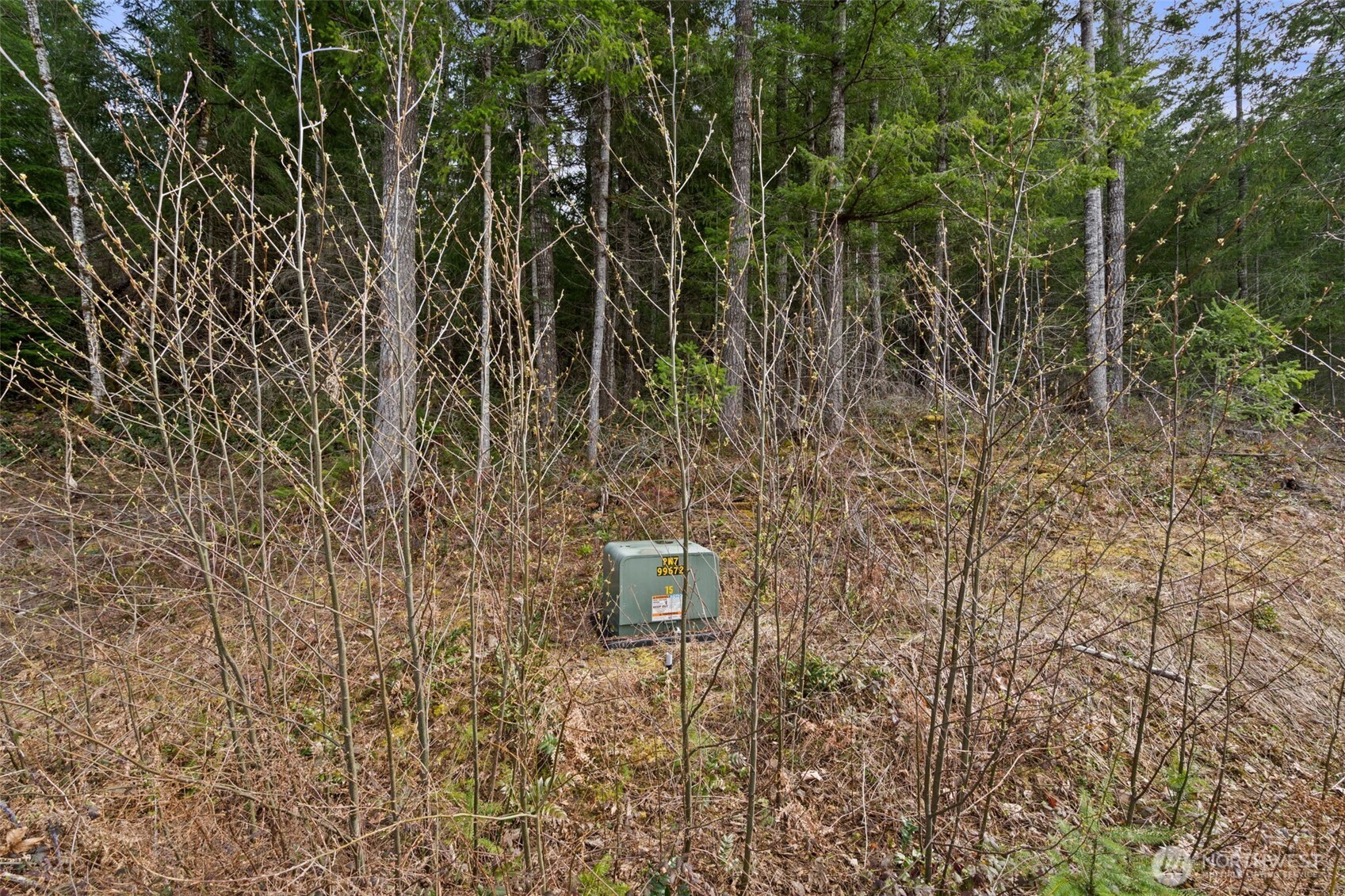 134 Grizzly Road Property Photo 10