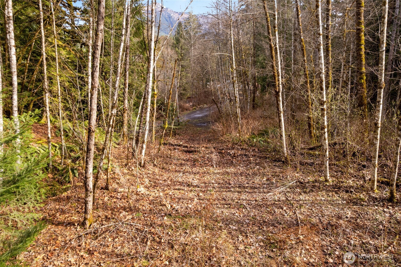 10211 Mt Baker Hwy Property Photo 10