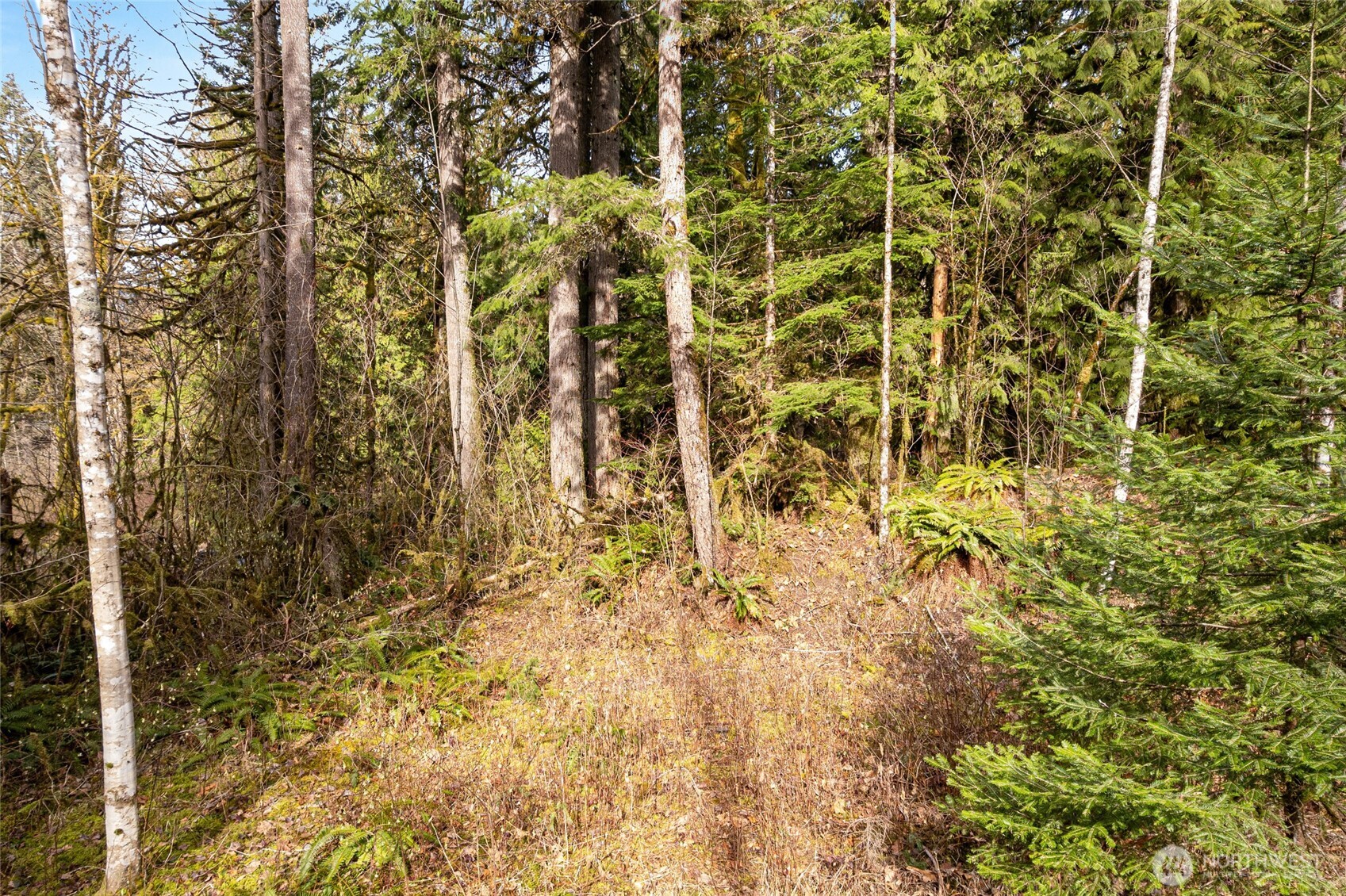 10211 Mt Baker Hwy Property Photo 11