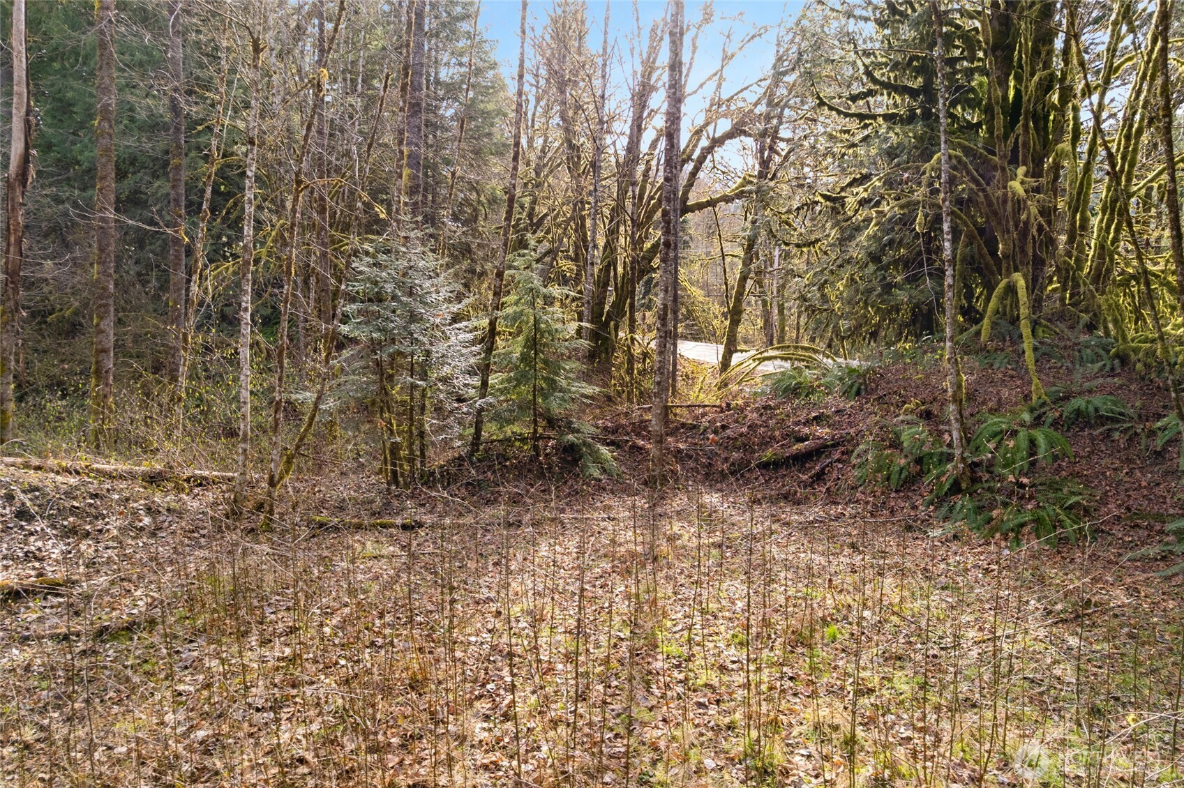 10211 Mt Baker Hwy Property Photo 12