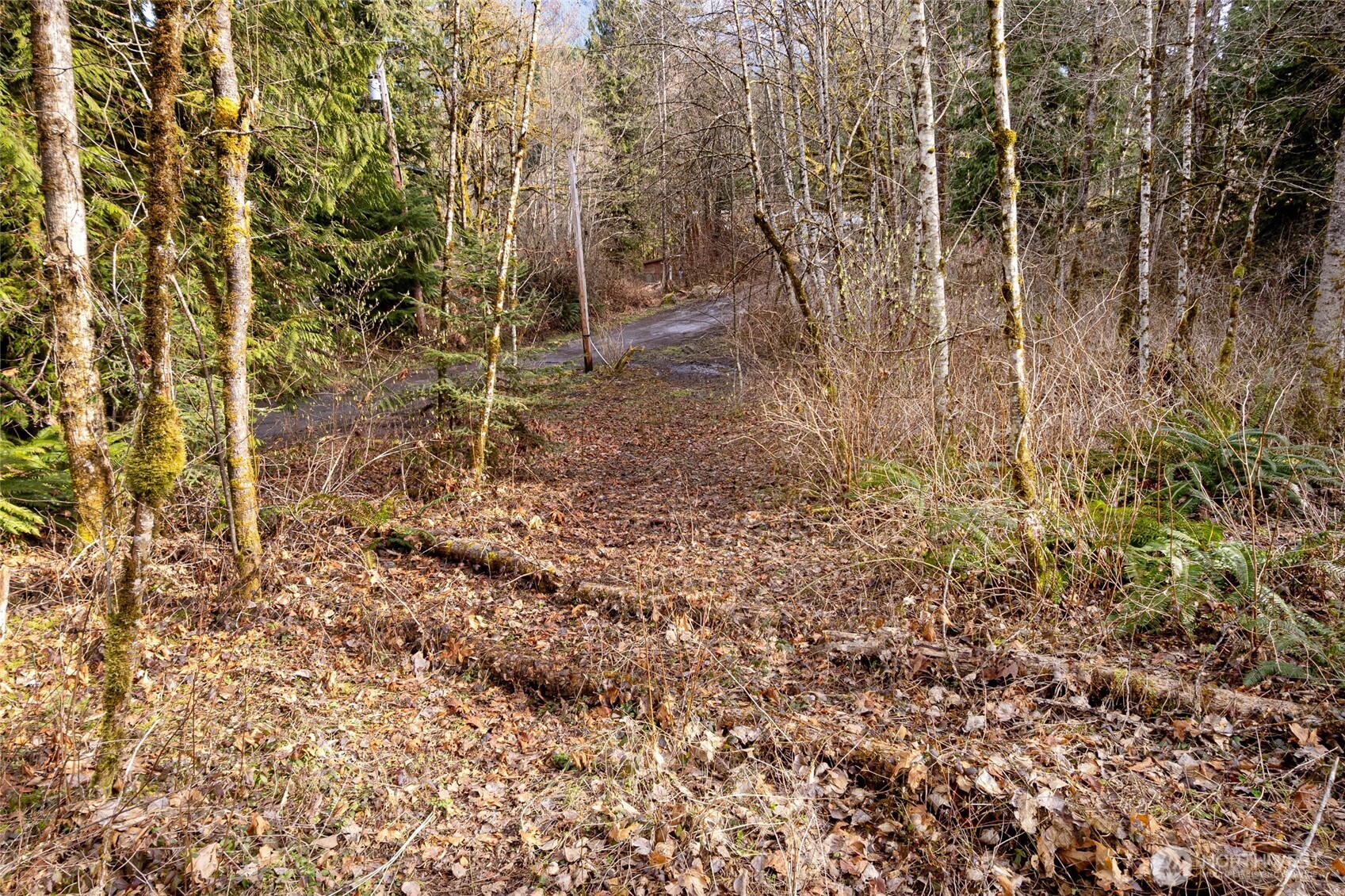 10211 Mt Baker Hwy Property Photo 13