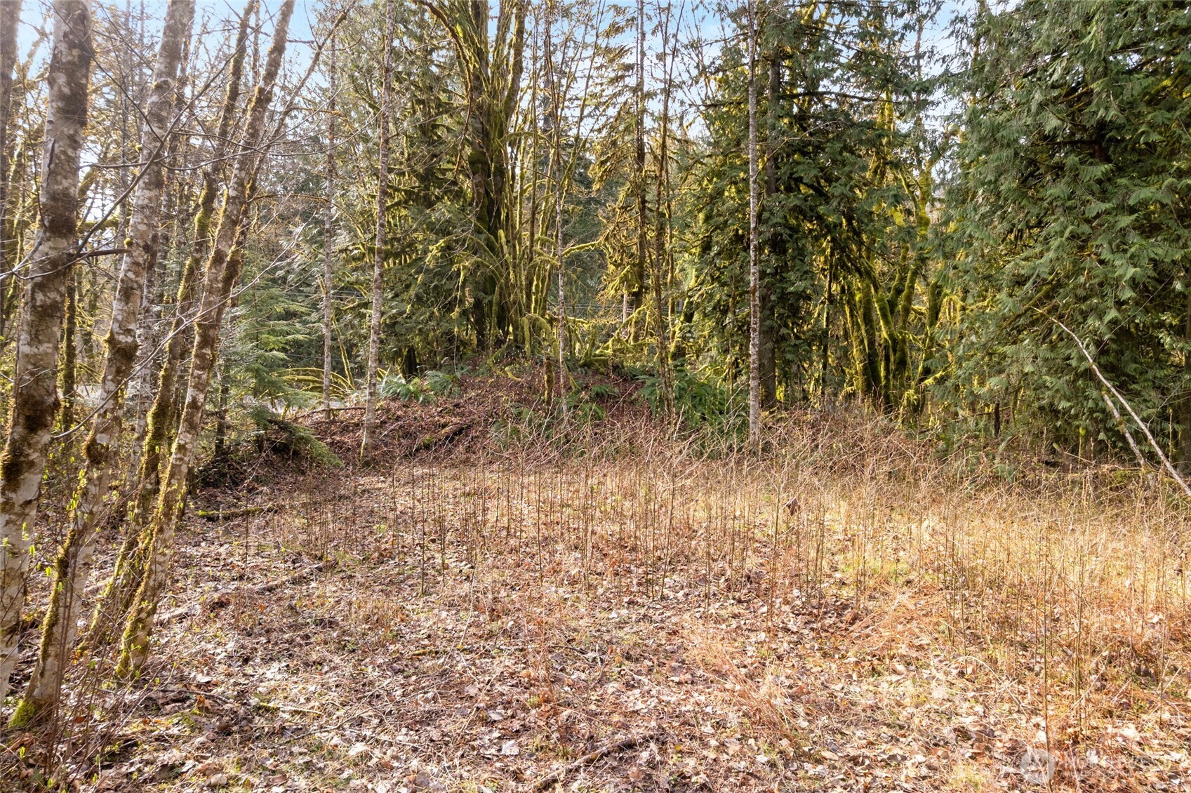 10211 Mt Baker Hwy Property Photo 14