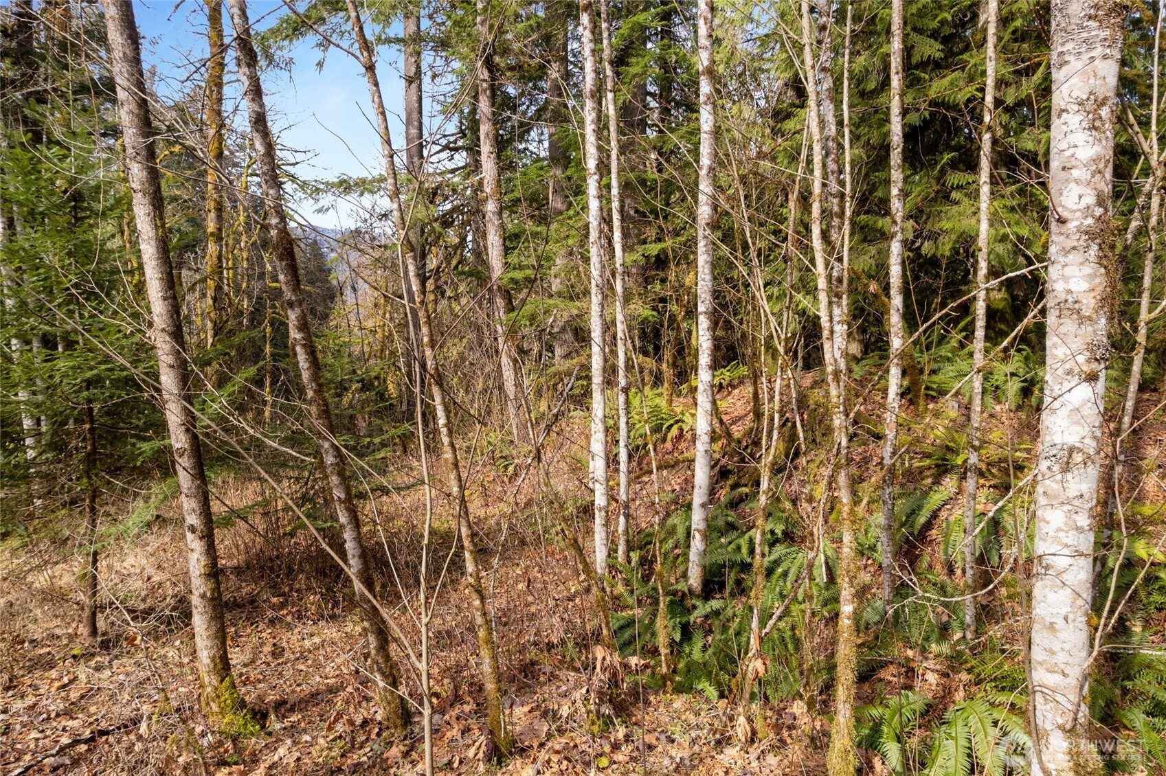 10211 Mt Baker Hwy Property Photo 15