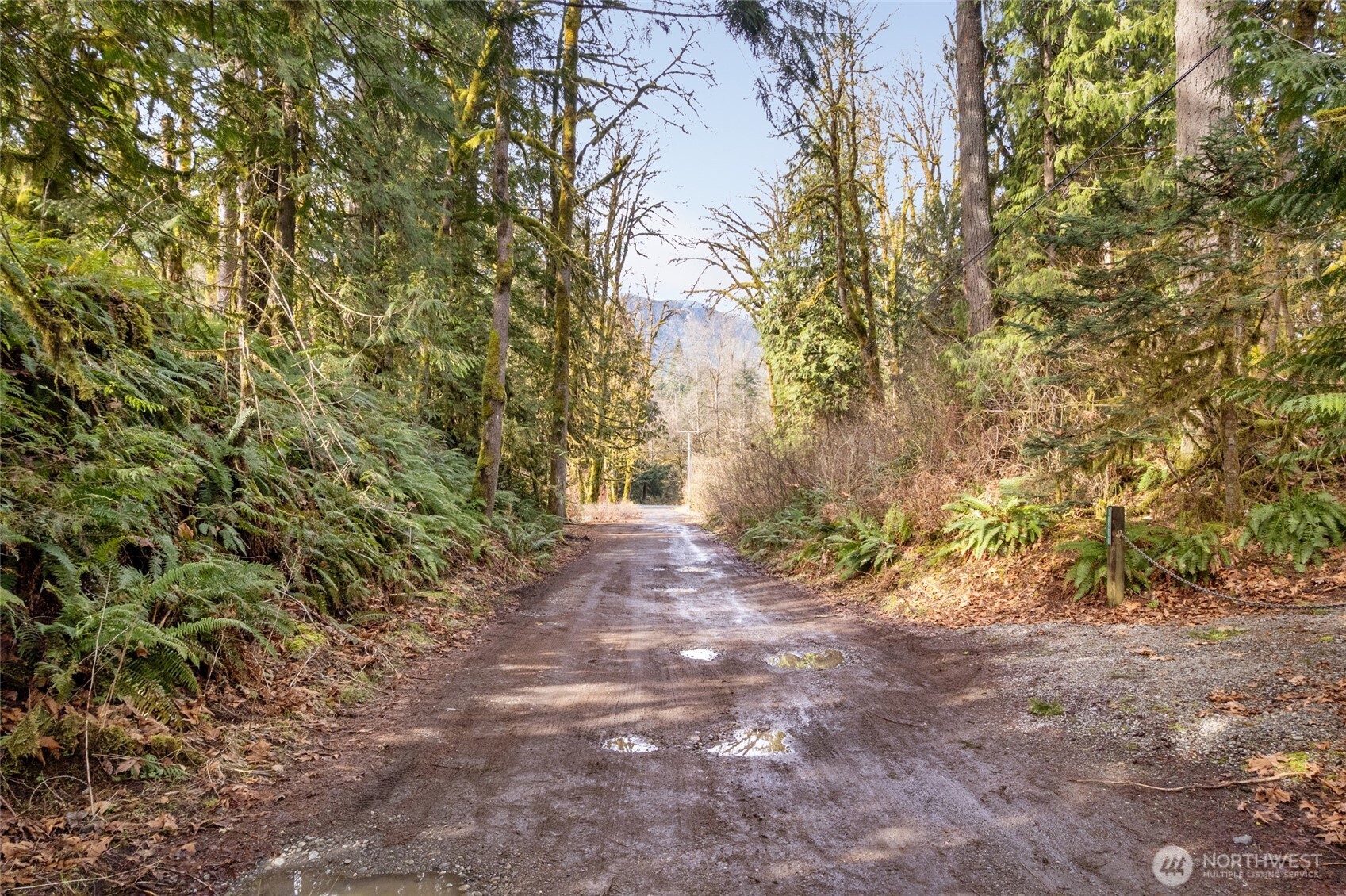 10211 Mt Baker Hwy Property Photo 16