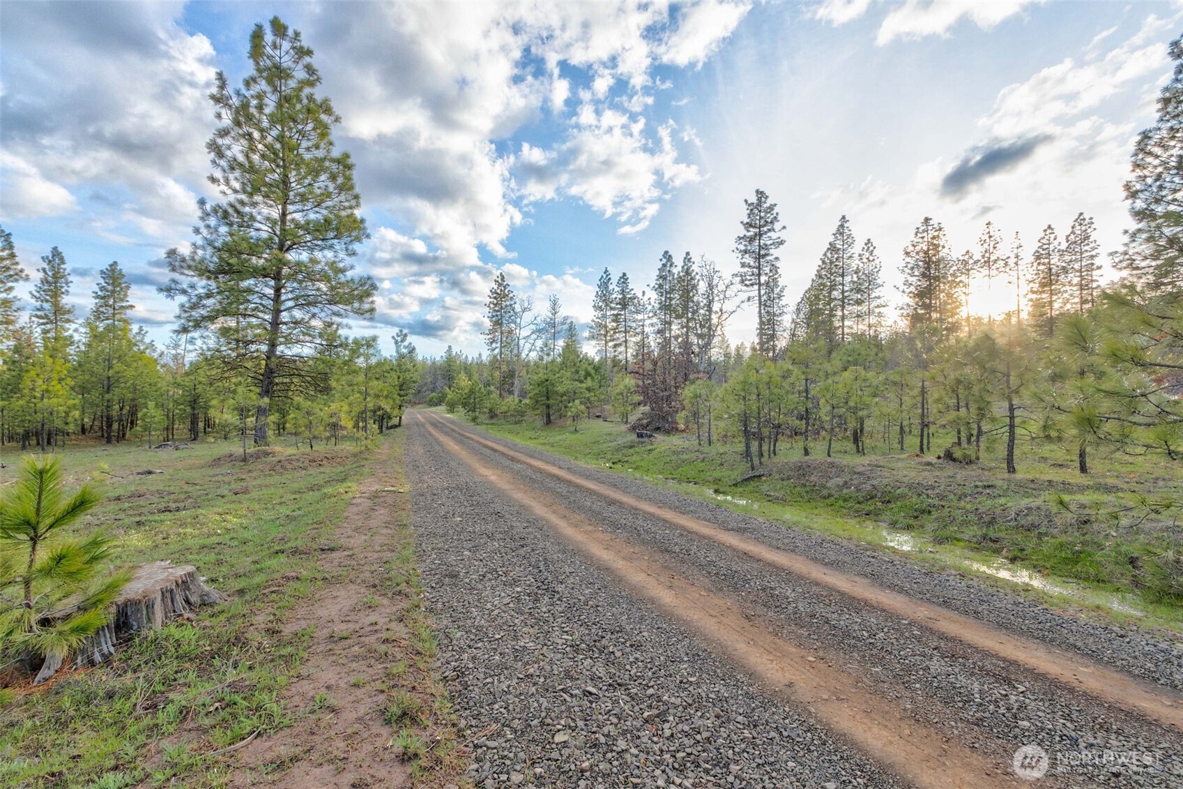 0 Lot 7 Greyback Mountain Road Property Photo 2