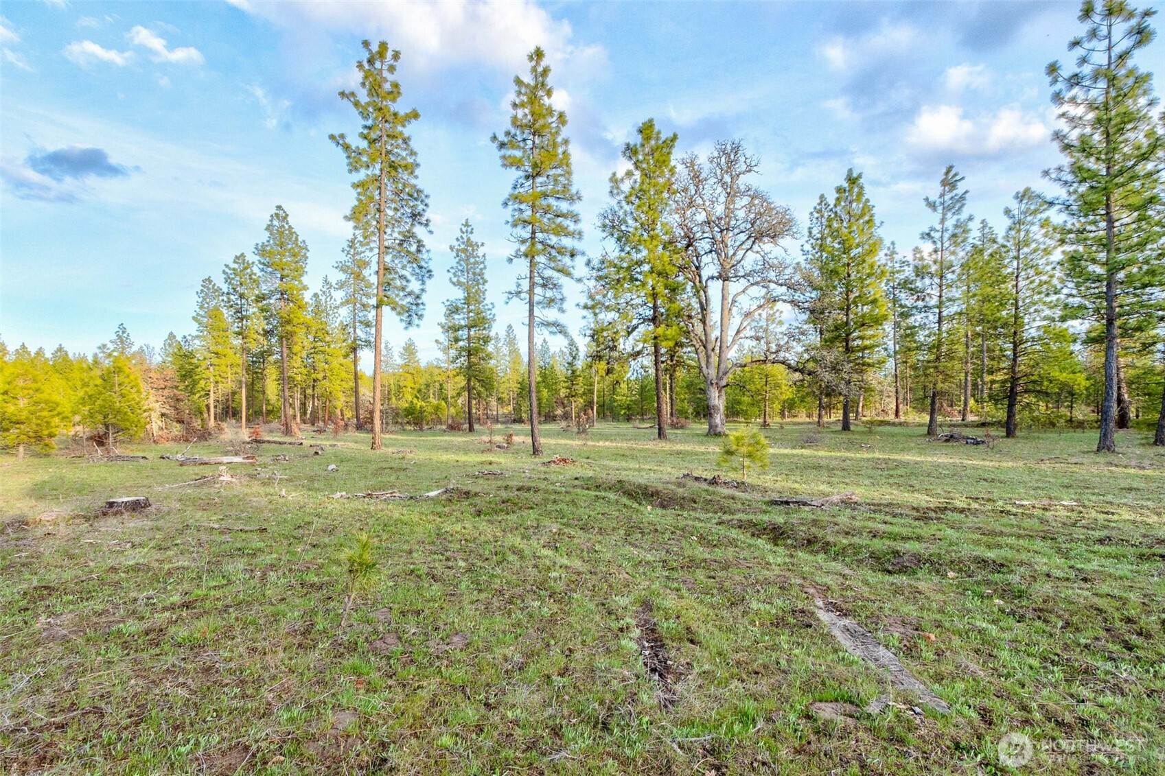 0 Lot 7 Greyback Mountain Road Property Photo 3