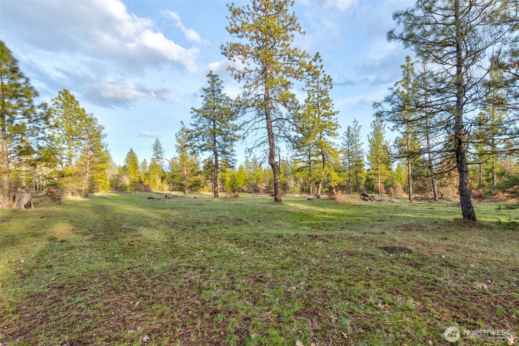 0 Lot 7 Greyback Mountain Road Property Photo 4