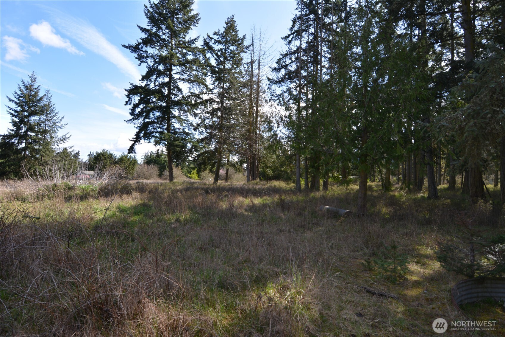 999 W Silberhorn Property Photo 6