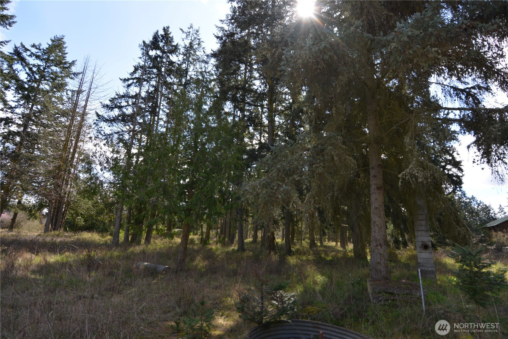 999 W Silberhorn Property Photo 7