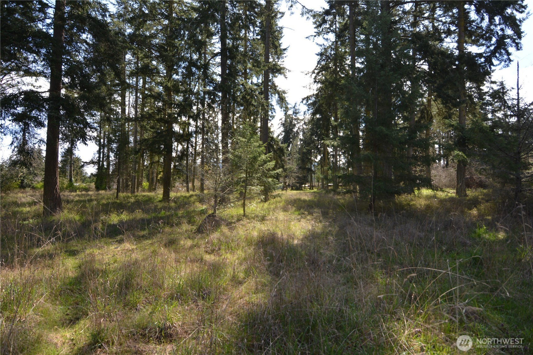 999 W Silberhorn Property Photo 8