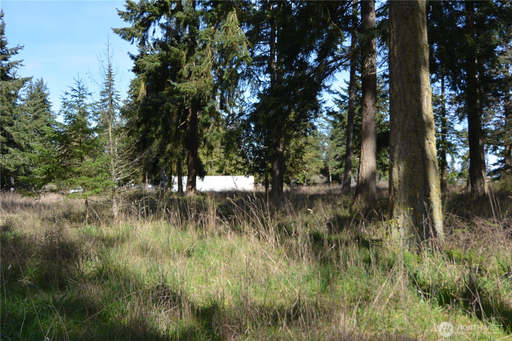 999 W Silberhorn Property Photo 11
