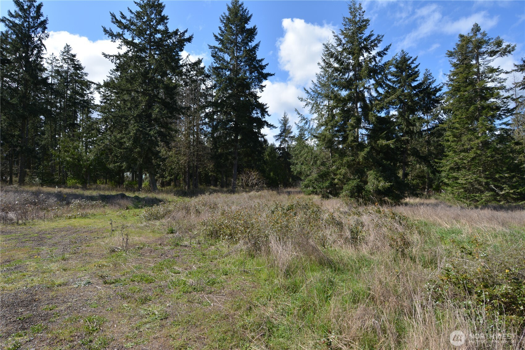 999 W Silberhorn Property Photo 13