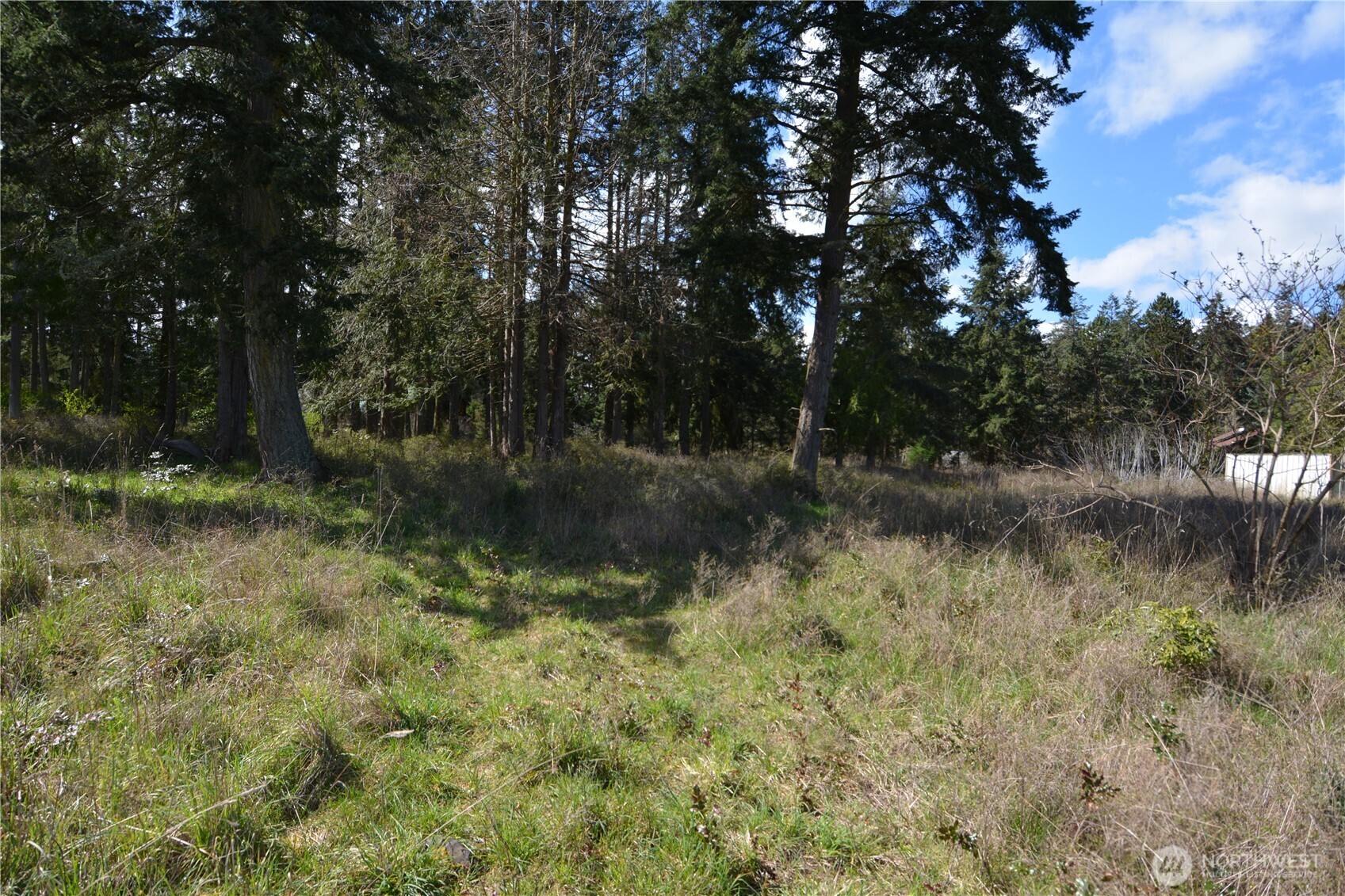 999 W Silberhorn Property Photo 14