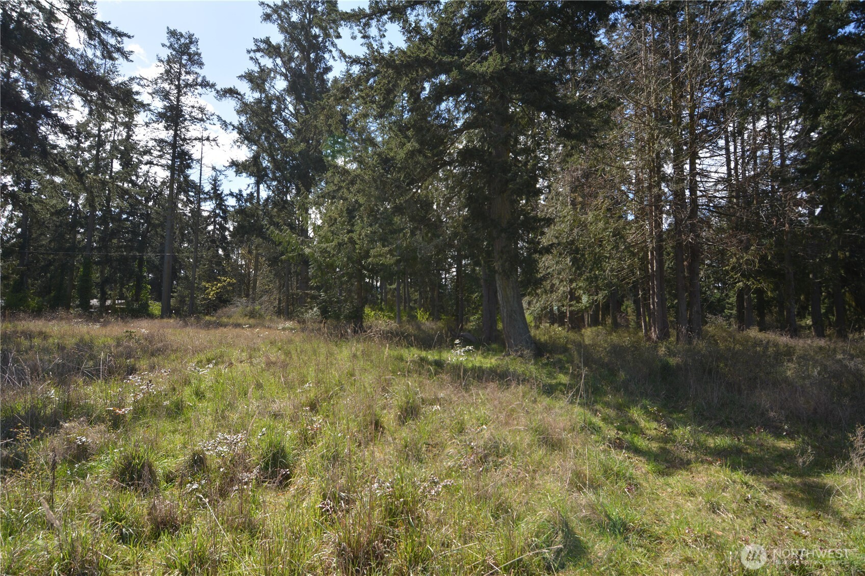 999 W Silberhorn Property Photo 15