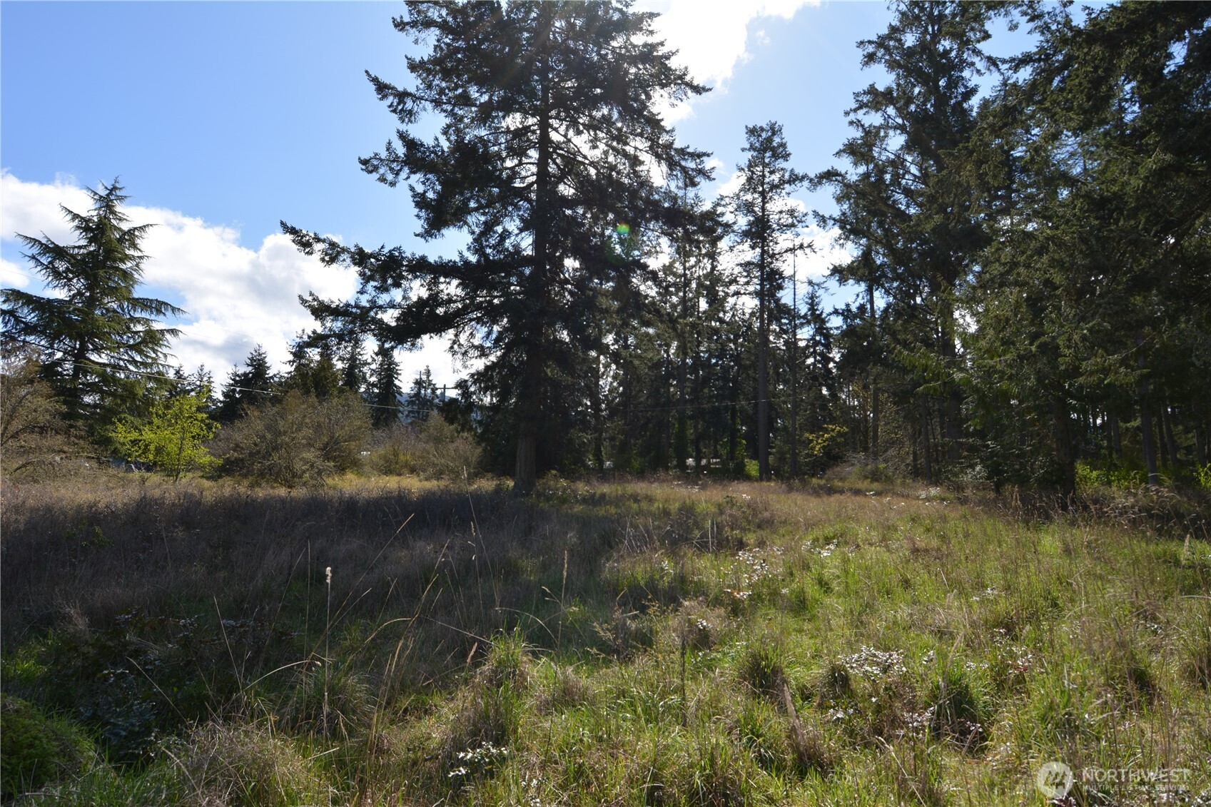 999 W Silberhorn Property Photo 16