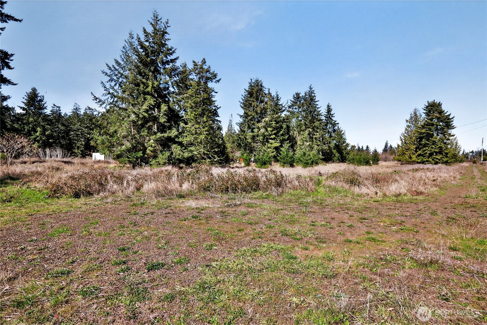 999 W Silberhorn Property Photo 17
