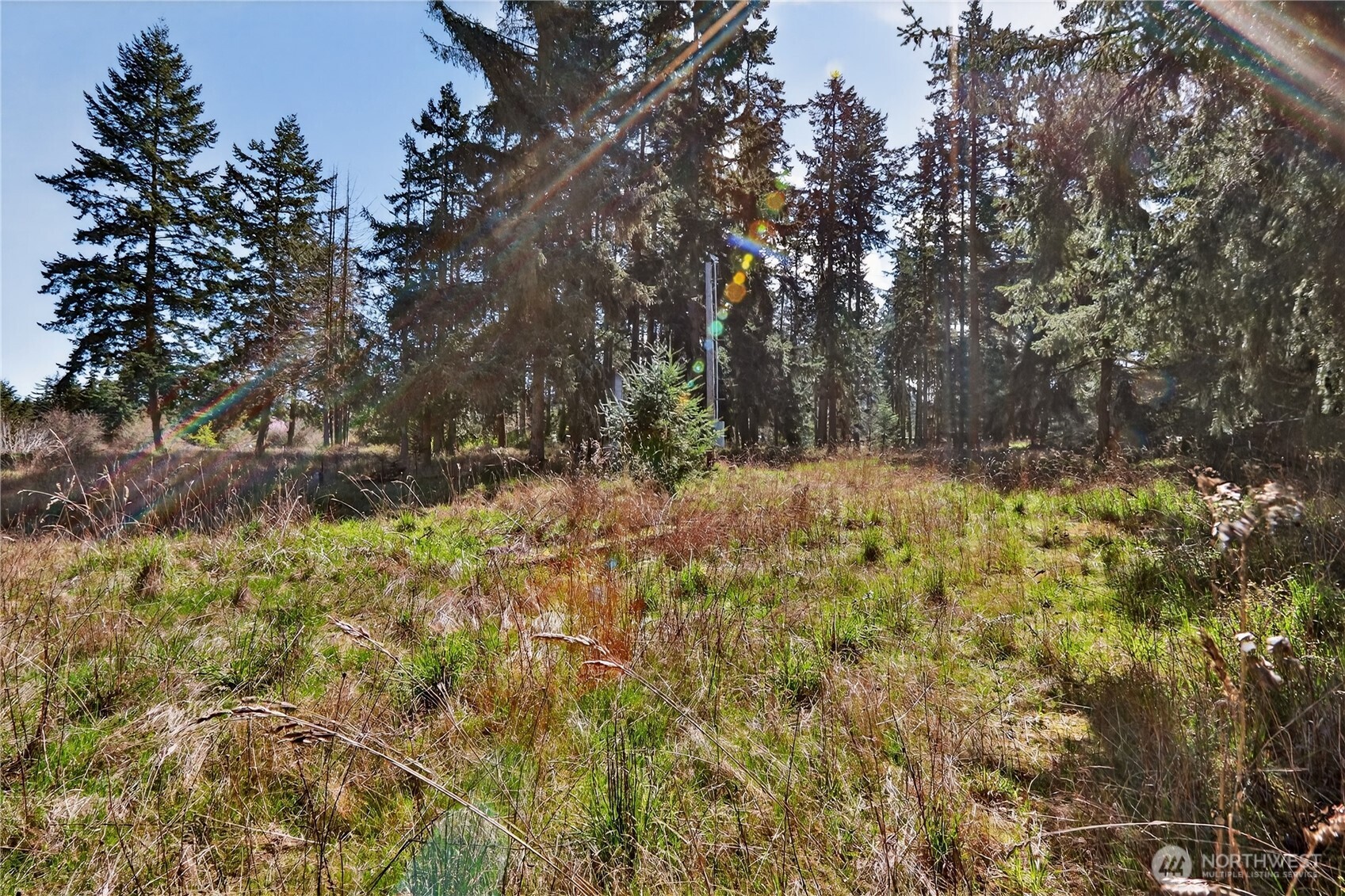 999 W Silberhorn Property Photo 18