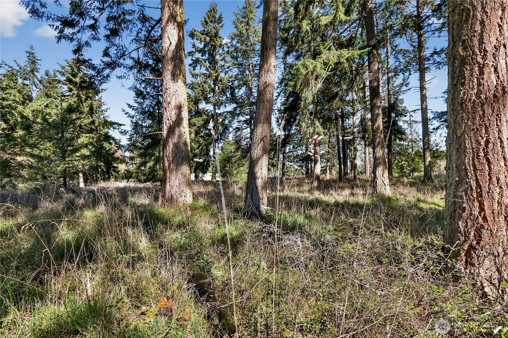 999 W Silberhorn Property Photo 20