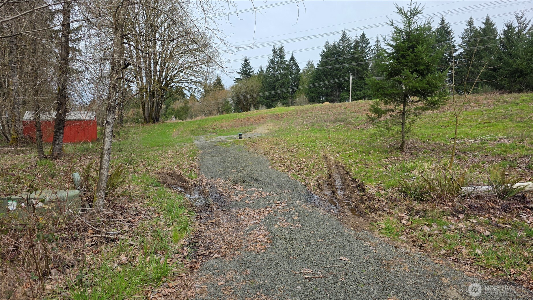 12200 Shadowbrook Lane Property Photo 8