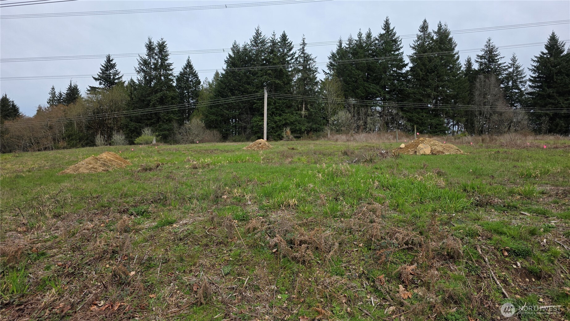 12200 Shadowbrook Lane Property Photo 11