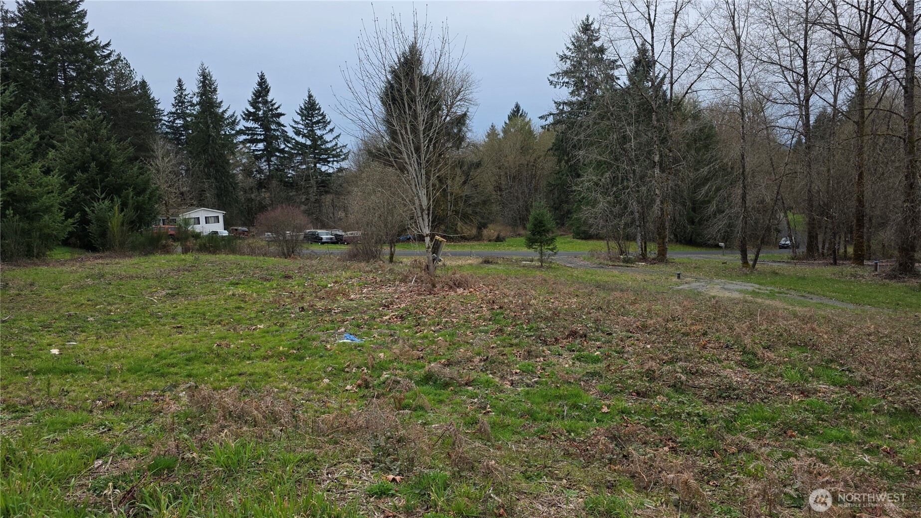 12200 Shadowbrook Lane Property Photo 13