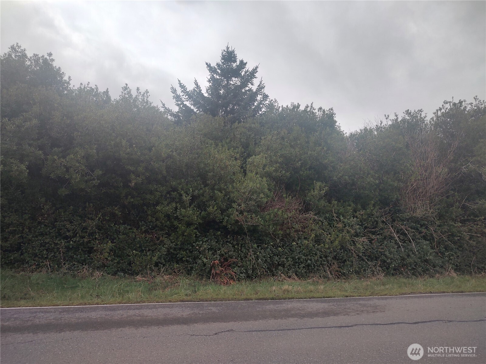 601 Ocean Shores Boulevard Property Photo 1