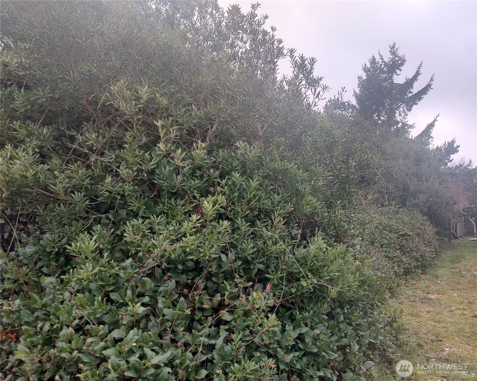 601 Ocean Shores Boulevard Property Photo 3