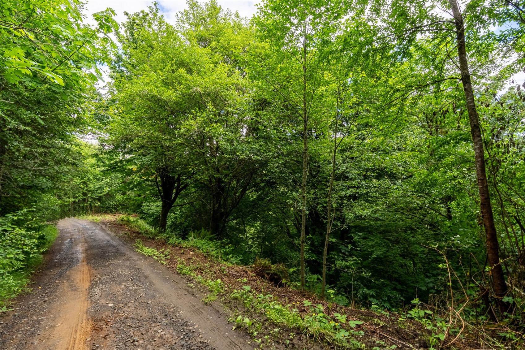 355 E Ragland Road Property Photo 16