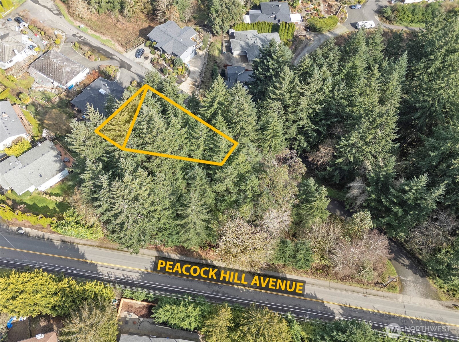 9806 Sari Lane Property Photo 2