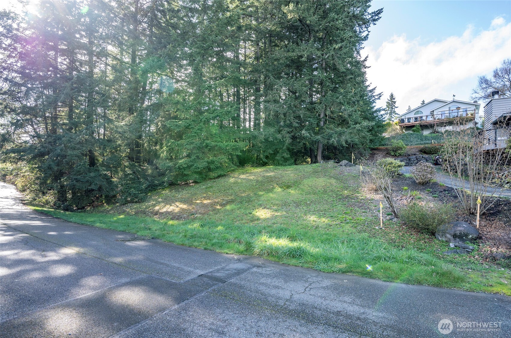 9806 Sari Lane Property Photo 4