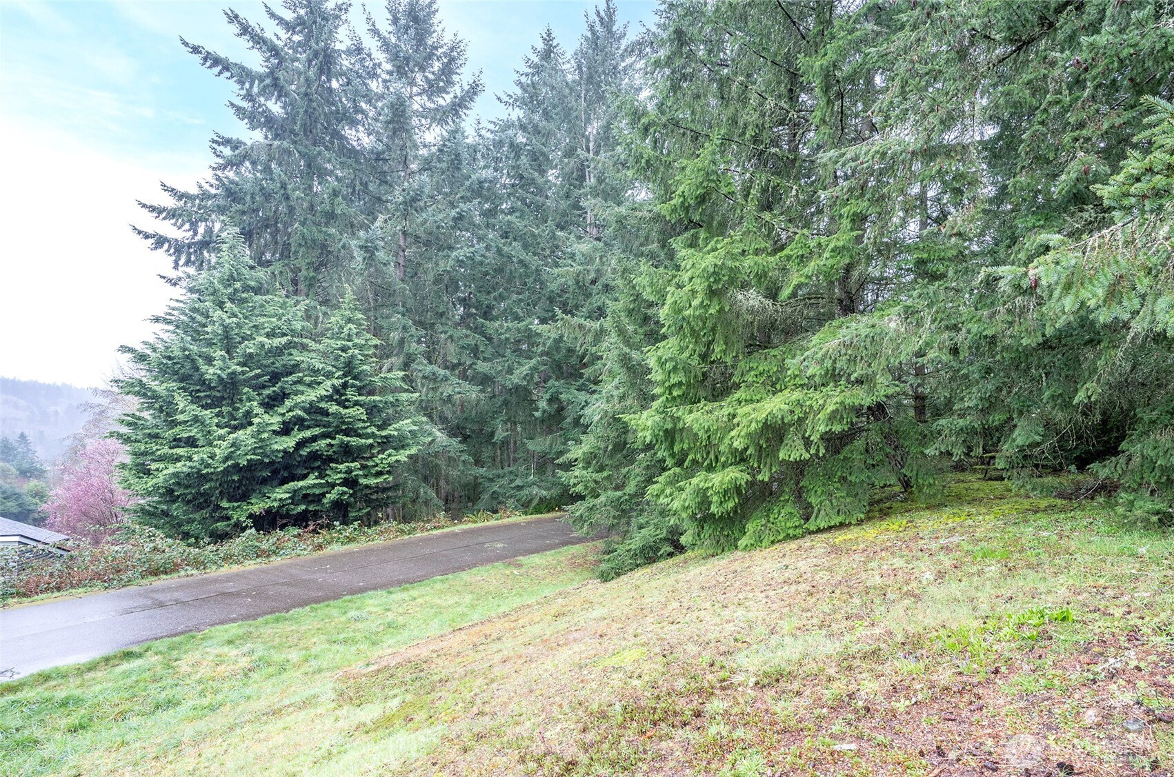 9806 Sari Lane Property Photo 6