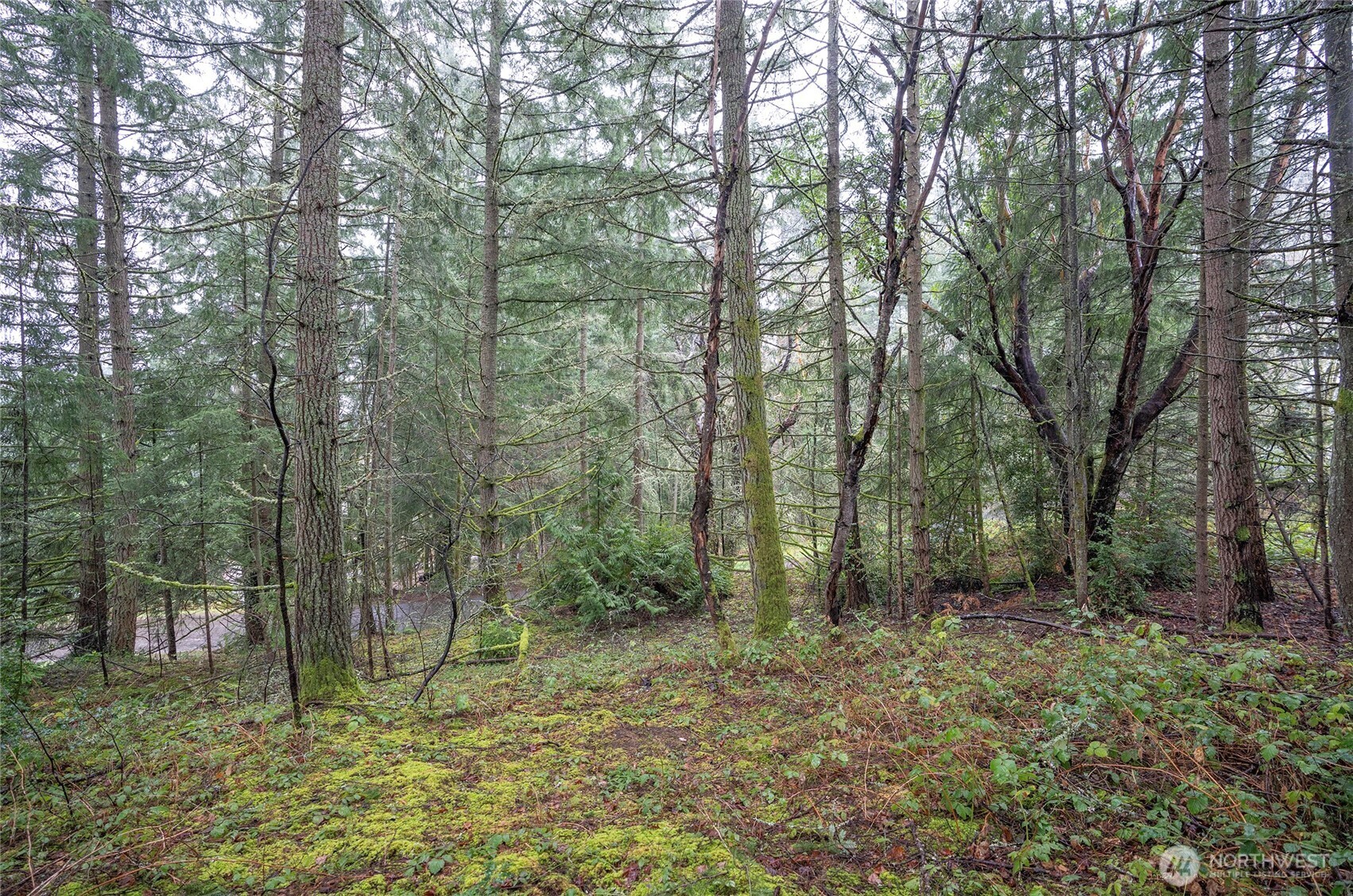 9806 Sari Lane Property Photo 9