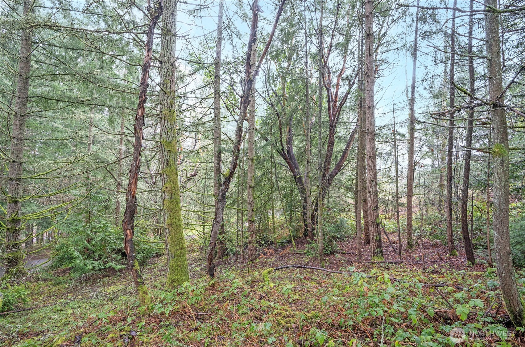 9806 Sari Lane Property Photo 10