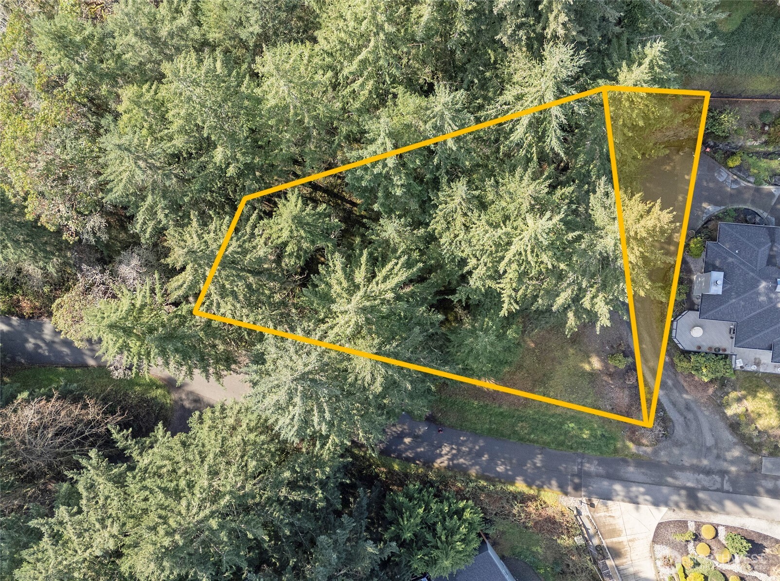 9806 Sari Lane Property Photo 13