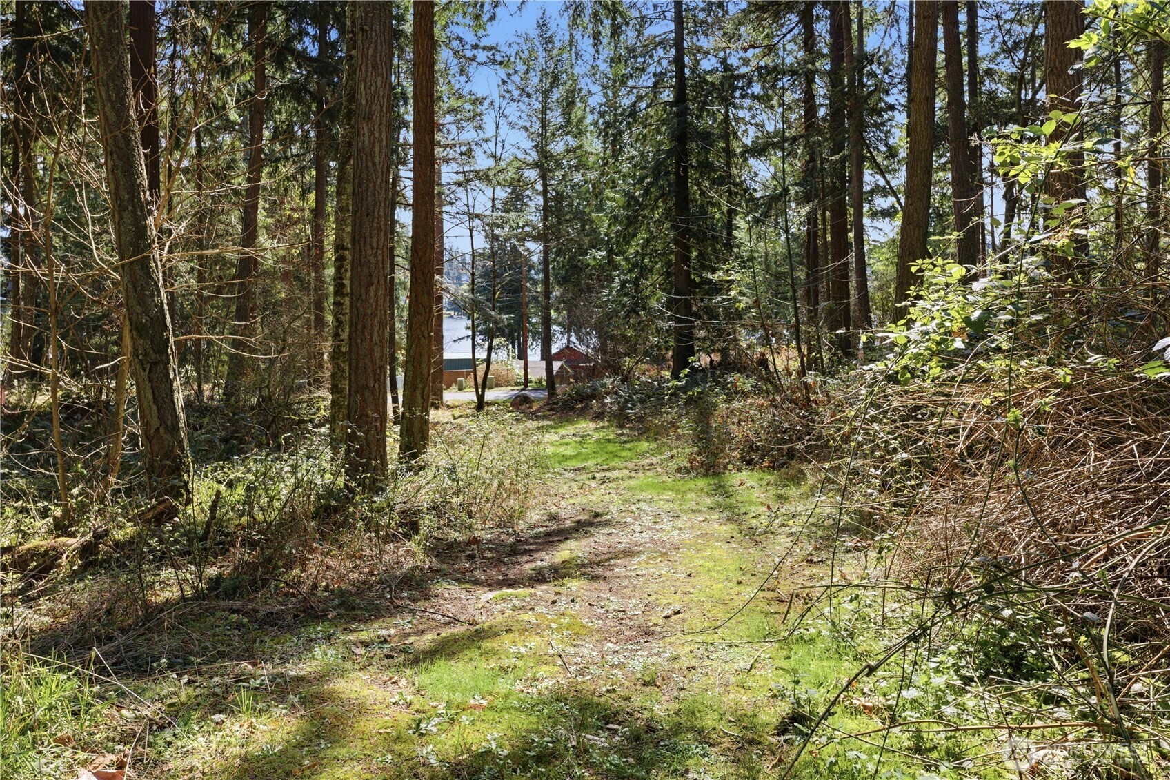 0 Clear Lake Road Property Photo 7