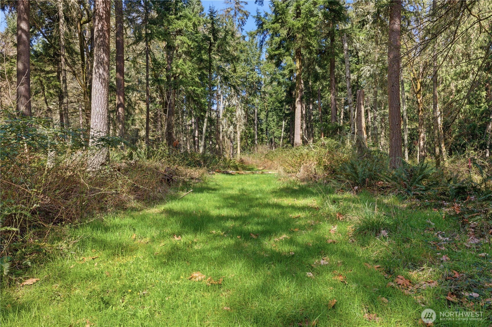 0 Clear Lake Road Property Photo 10
