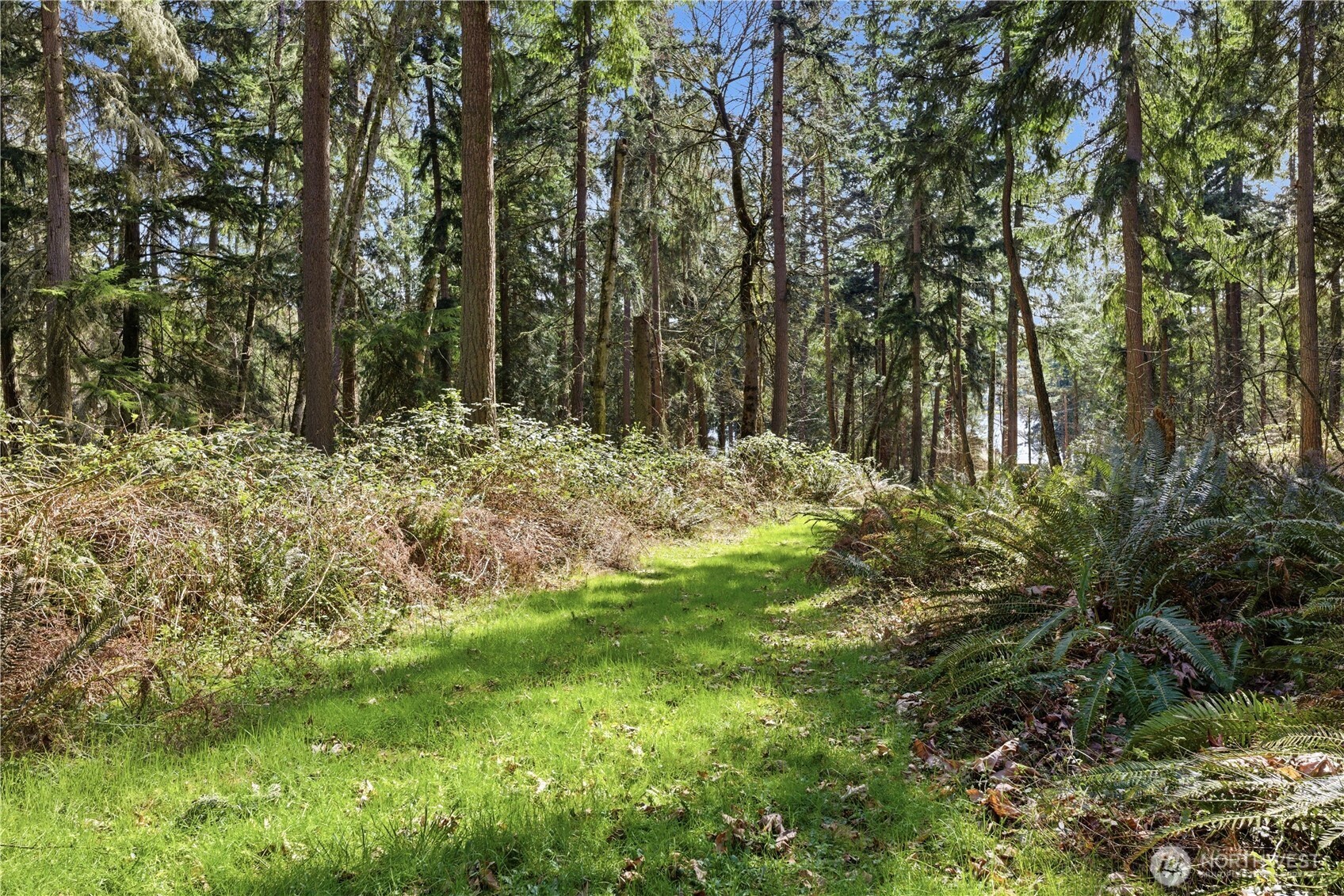 0 Clear Lake Road Property Photo 11