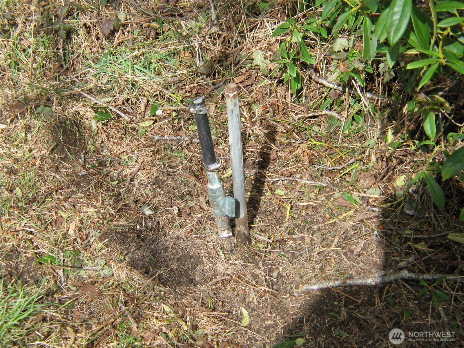 32317 Q Place Property Photo 4