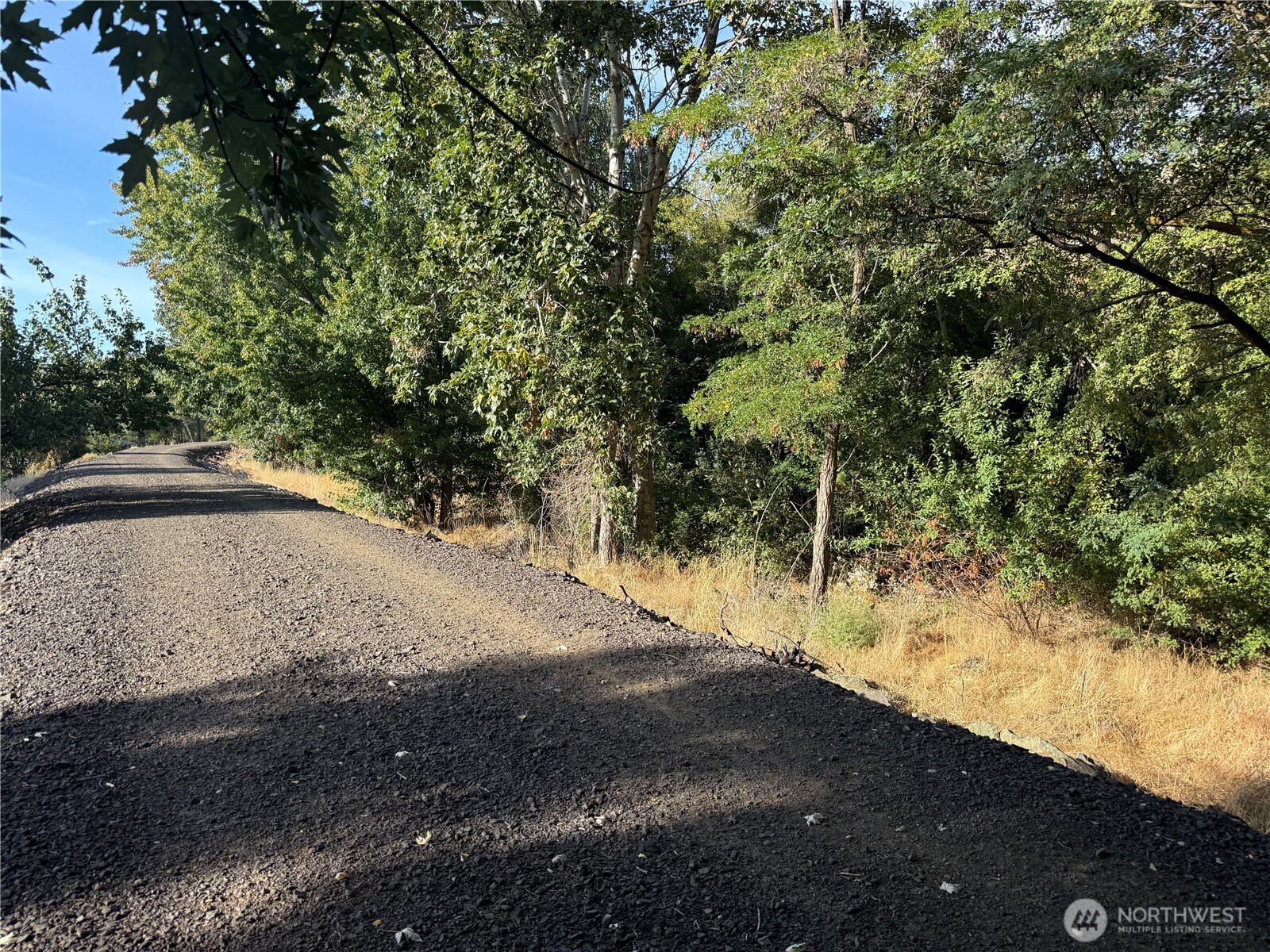 1427 Wilkenson Street Property Photo 20