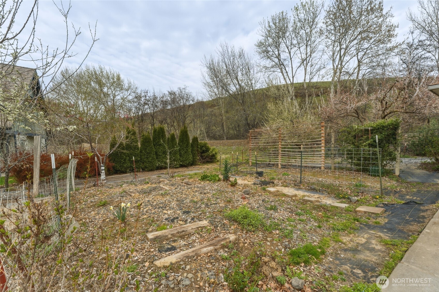 1427 Wilkenson Street Property Photo 26