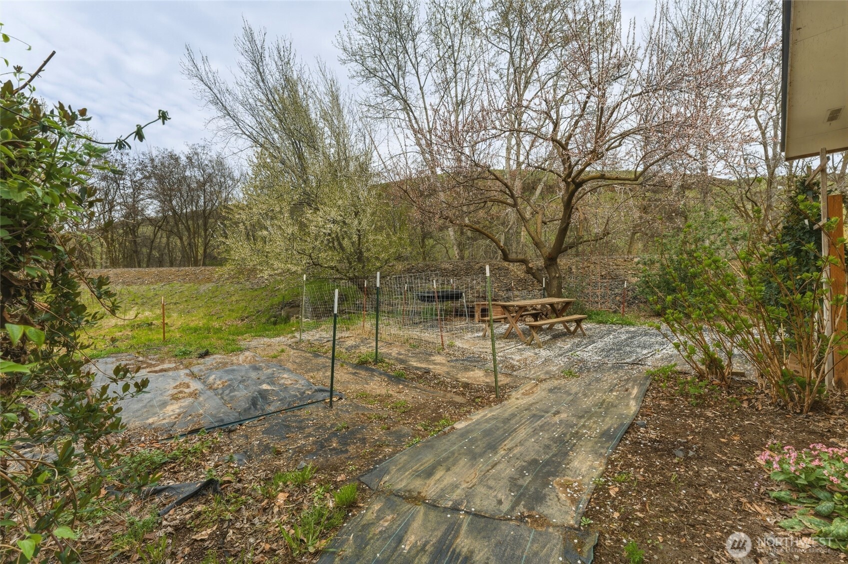 1427 Wilkenson Street Property Photo 28