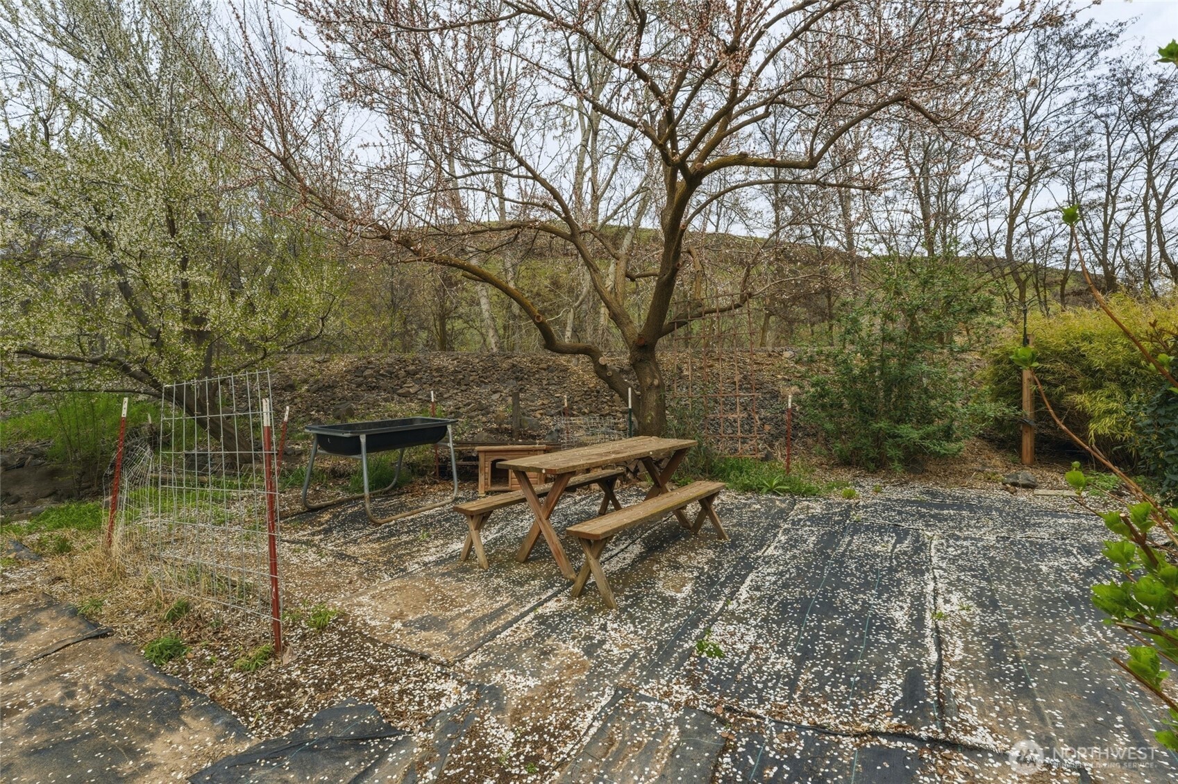 1427 Wilkenson Street Property Photo 29