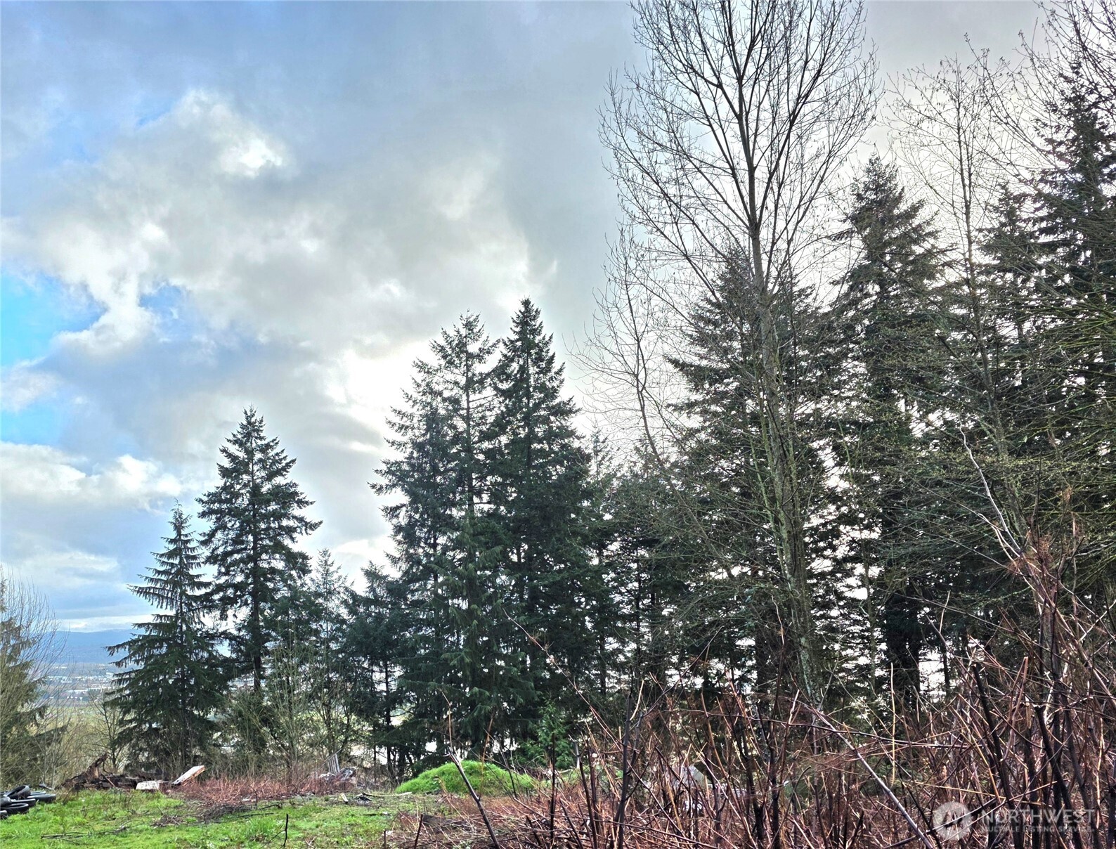 21211 35th Avenue Property Photo 4