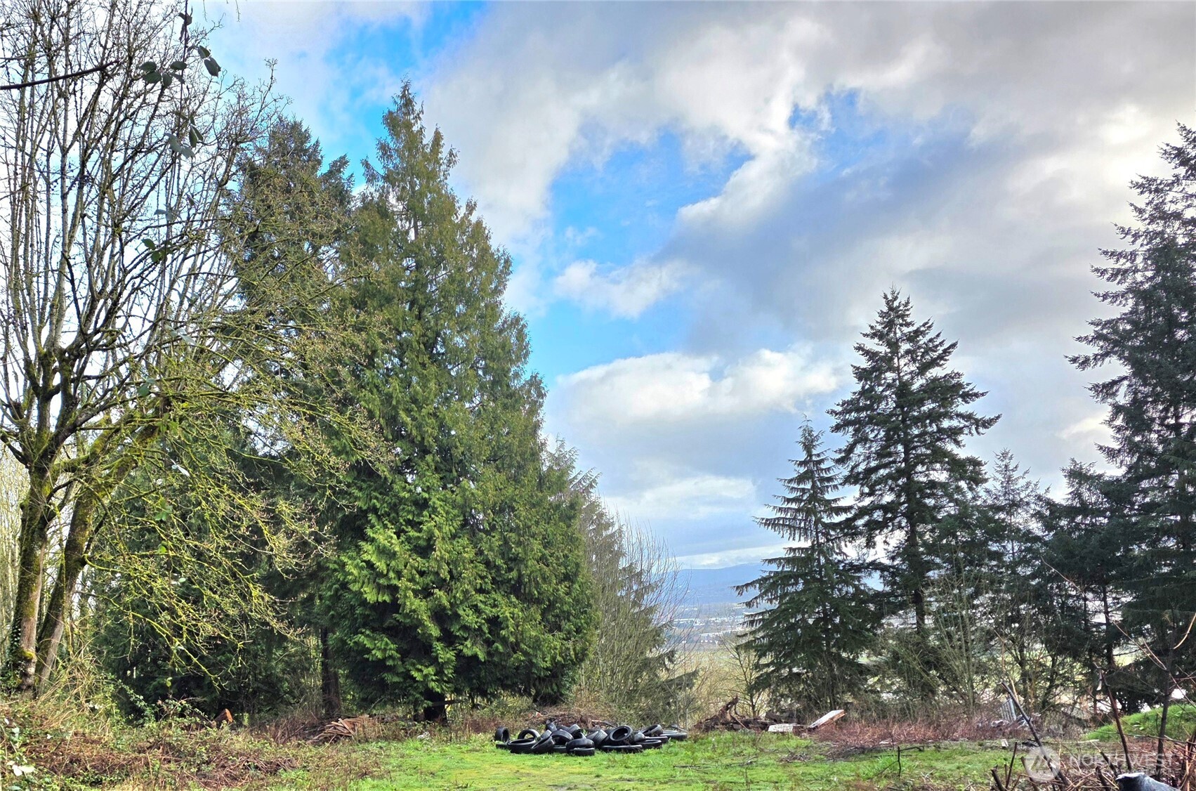 21211 35th Avenue Property Photo 5