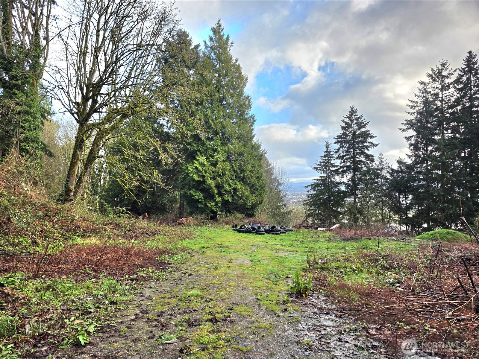 21211 35th Avenue Property Photo 6