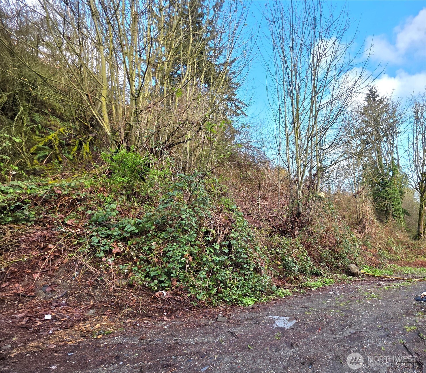 21211 35th Avenue Property Photo 9