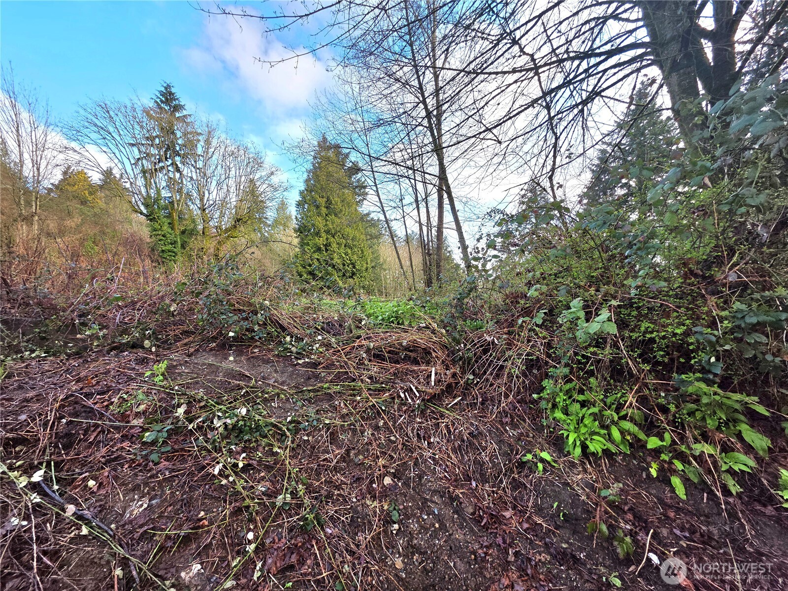 21211 35th Avenue Property Photo 11