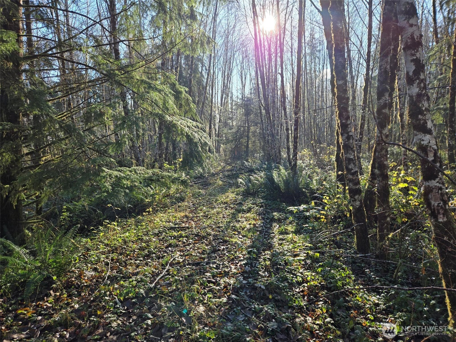 0 Nka Fall River Road Property Photo 3